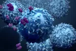Desarrollan una terapia que acerca la posibilidad de llegar a curar la ELA Ilustración 3D de proteínas interaccionando con células