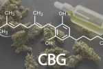 El cannabigerol resulta eficaz para reducir estrés y ansiedad Cnnabigerol (CBG) y su fórmula química