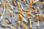 Industria del tabaco unas de las que más muertes causa en Europa Colillas apagadas sobre el cemento