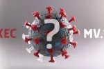 Nuevas variantes XEC y MV.1 del coronavirus: qué debes saber Ilustración del coronavirus