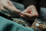 El cannabis de alta potencia deja una huella única en el ADN que puede indicar psicosis Un hombre se prepara un canuto con cannabis