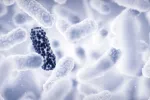 La resistencia a los antimicrobianos causa 1,3 millones de muertes al año La resistencia antimicrobiana (RMA) se produce cuando las bacterias cambian con el tiempo y desarrollan la capacidad de resistir tratamientos antimicrobianos. Resistencia antibiótica en bacterias, ilustración 3d