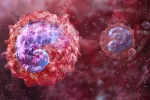 Hallan la clave para mejorar la inmunoterapia frente al cáncer: los monocitos Ilustración 3D de monocitos