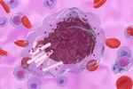 El fármaco de Lilly pirtobrutinib mejora el pronóstico de pacientes con leucemia linfocítica Célula de leucemia linfocítica crónica (LLC) en el flujo sanguíneo