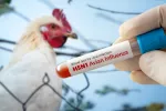 Los humanos tenemos anticuerpos capaces de combatir al virus de la gripe aviar Médico mostrando una muestra de sangre para realizar un test de gripe aviar