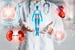Teste detecta el ritmo de envejecimiento de los órganos y permite predecir enfermedades futuras Médico frente a holograma de un cuerpo humano en el que se visualizan los órganos
