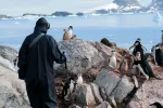 Hallan el virus de la gripe aviar H5N1 en animales de 13 especies diferentes en la Antártida Científico protegido con EPI junto a pingüinos en la Antártida