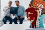 Administrar precozmente un fármaco antiamiloide puede retrasar la aparición del alzhéimer Modelo anatómico de cerebro humano y un médico analizando los resultados de la RM junto al paciente