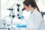 Aumentan en España los casos de infección grave por una bacteria resistente a antibióticos Científica analiza bacterias al microscopio en un laboratorio