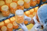 Uso de hongos Cordyceps en investigación médica Cordyceps militaris en frascos de vidrio en una sala de laboratorio con control de luz y temperatura
