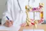 Descubren que la degradación de una proteína favorece la aparición y desarrollo del cáncer colorrectal Doctor escribe tras un modelo de anatomía de colon humano