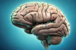 Microplásticos se acumulan en el cerebro humano Un cerebro con microplásticos de colores sobre fondo azul