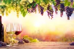 Variedades de vino blanco y tinto servidos en copa en un viñedo Botellas y copas de vino blanco sobre una mesa en un viñedo al atardecer