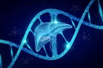 Células de ADN que activan la regeneración del hígado Célula genética de ADN del hígado