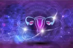 Útero y ovarios Imagen del útero y los ovarios sobre fondo morado