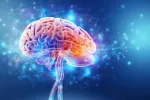 Primer mapa completo de la actividad cerebral Ilustración de un cerebro y sus conexiones neuronales