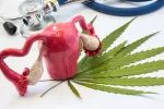 Riesgos del cannabis para la fertilidad de la mujer  Hoja de marihuana bajo una figura del aparato reproductor femenino