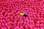 Efecto de los fármacos sobre el microbioma intestinal Fármaco sobre un fondo rosa concepto de microbioma intestinal