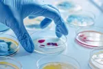 Investigación en laboratorio con tóxicos que contaminan la sangre Mano enguantada de científico con muestras de sangre en laboratorio
