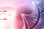 Espermatozoides junto a óvulo y ADN Ilustración de espermatozoides que se dirigen a un óvulo junto a una cadena de ADN