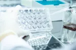 Análisis de cultivo celular en laboratorio Científico en laboratorio analiza un cultivo celular