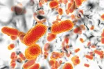Biofilm de bacterias Acinetobacter baumannii, el agente causal común de infecciones adquiridas por el hospital 3D