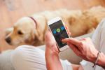 Un dueño consulta una aplicación que monitoriza la salud de su perro