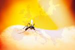 El dengue amenaza a países templados de Europa
