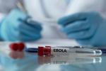 Investigación y vacuna del ébola