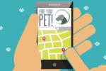 GPS para mascotas, utilidades y consejos de compra 
