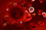 Células circulando por la sangre