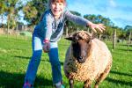 Una niña juega con una oveja en el campo