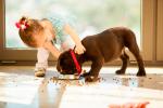 Un cachorro de perro come mientras una niña pequeña le acaricia