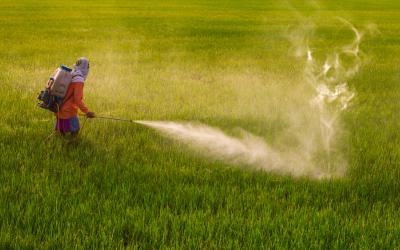 Glifosato, el herbicida ‘probablemente cancerígeno’