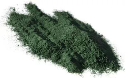 Polvo de alga Spirulina Alga Spirulina