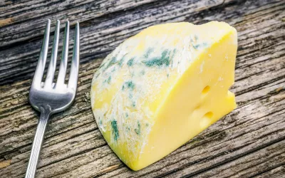 Alimentos con moho Alimentos con moho