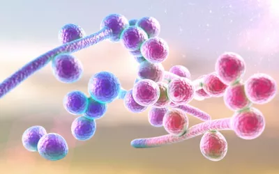 Candida auris: todo lo que debes saber Candida auris