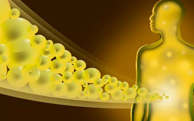 Niveles altos de bilirrubina ¿Te sube la bilirrubina?