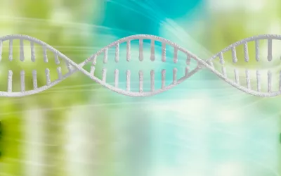 Epigenética: interacción entre genes y medioambiente