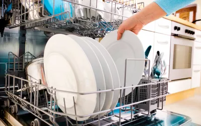 Hongos en el lavavajillas