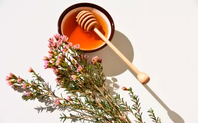 Miel de manuka Miel de manuka, un posible antibacteriano natural