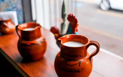 Pulque, ¿una bebida alcohólica saludable? Pulque, bebida mexicana