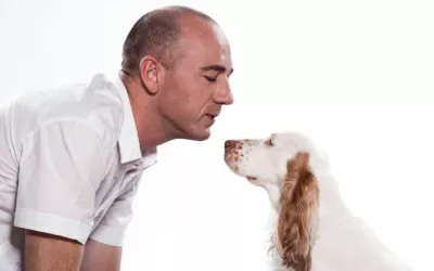 Un perro observa atentamente la cara de su amo