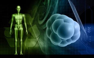 Clonación de células madre Logran clonar células madre embrionarias humanas