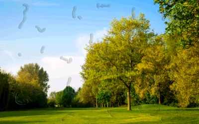 Persona mirando un paisaje con 'pelusas flotando'