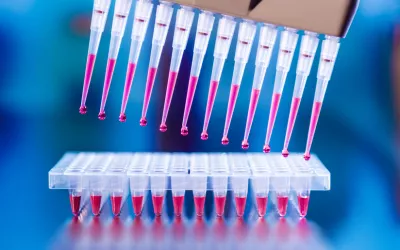 PCR, la prueba del coronavirus Qué es la PCR