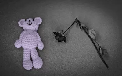 Cómo afrontar la pérdida de un bebé Cómo afrontar la pérdida de un bebé