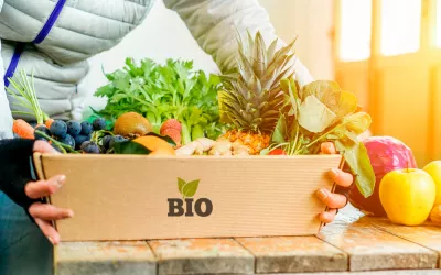 Alimentos ecológicos