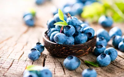 Arándano, antiinflamatorio natural y antiséptico urinario