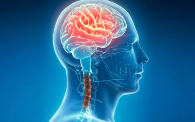 Ilustración del cáncer de cabeza y cuello